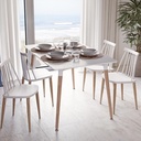 table_blanche_meera (1).jpg