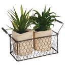 Plante artificielle aloe vera
