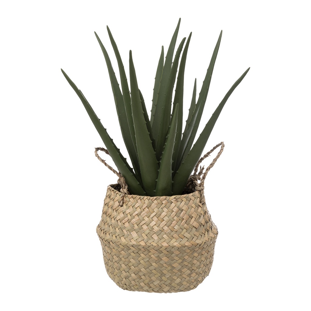 [189119] Aloe vera artificiel H. 37 cm avec pot naturel