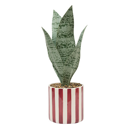[210126] Sansevieria artificielle H. 38 cm pot céramique